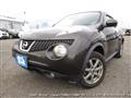 2010 Nissan Juke