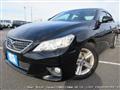 2010 Toyota Mark X