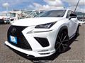 2019 Lexus NX