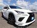 2019 Lexus NX