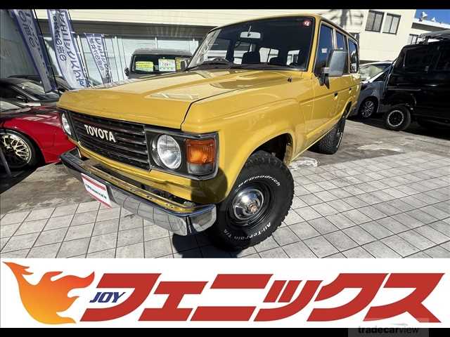 1989 Toyota Land Cruiser