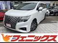 2021 Nissan Elgrand