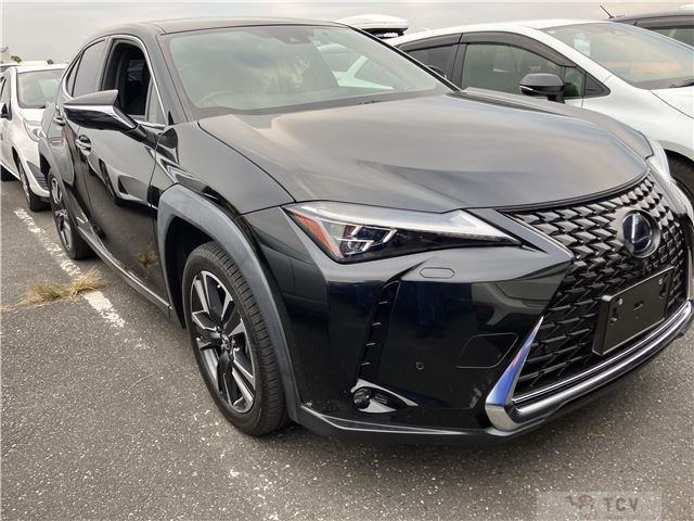 2020 Lexus UX