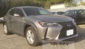 2019 Lexus Other